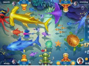 k·yun新网站登录下载app